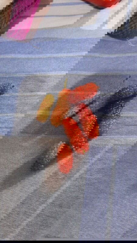 Nyidam suka yang aneh aneh