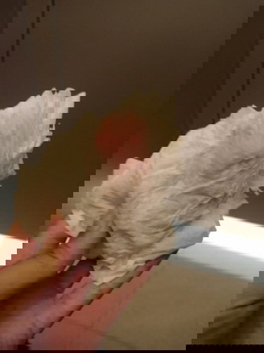 แม่ๆสอบถามหน่อยค่ะ