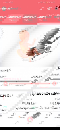 ตั้งครรภ์