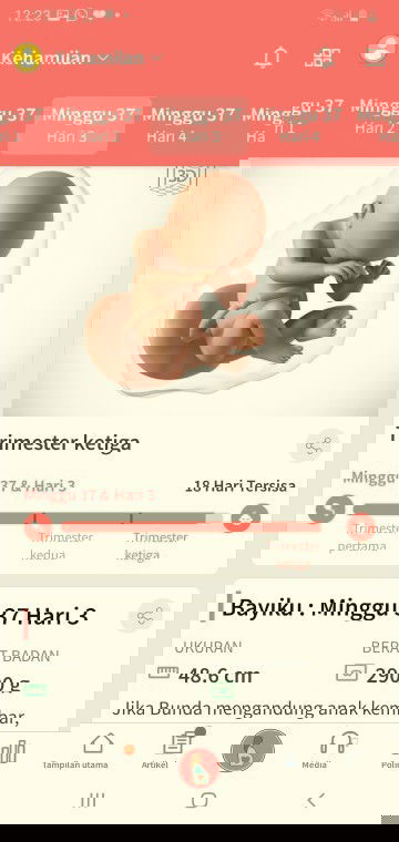 37 Week  belum msuk panggul