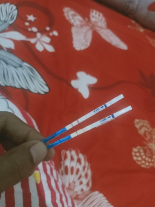 Bingung serius nanya