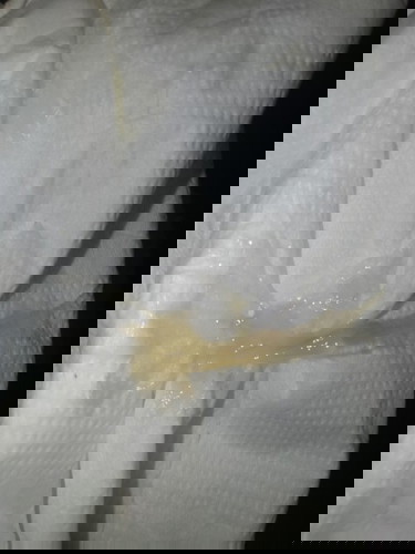 mucus plug na po ba ito?