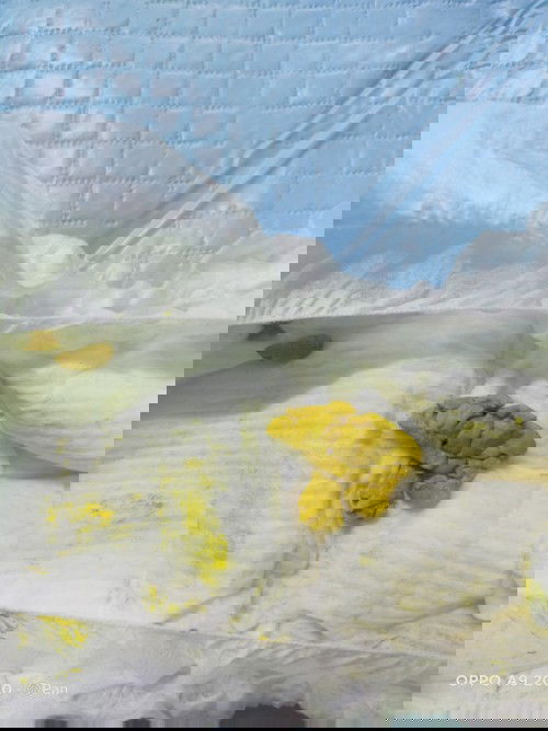 ลูกอึแบบนี้ปรกติมั้ยคะ