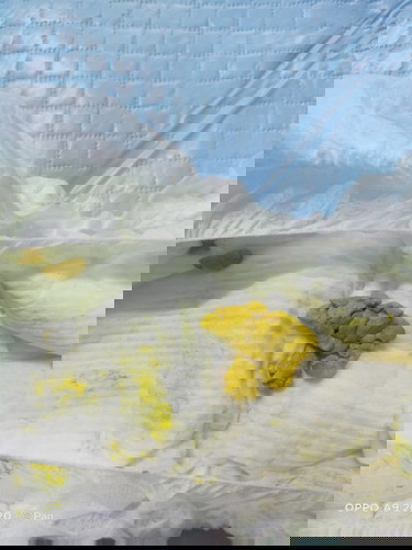 ลูกอึแบบนี้ปรกติมั้ยคะ