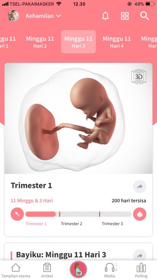 kehamilan 11 minggu 3 hari