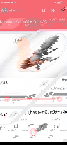 กำหนดคลอด20ตุลา