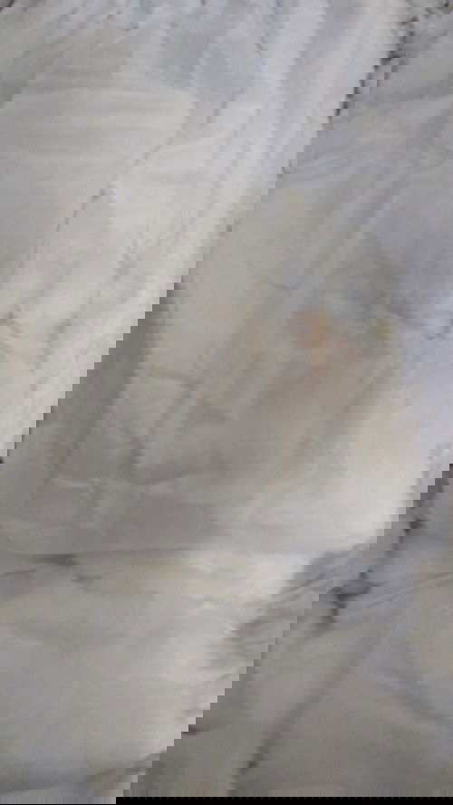 Bercak Serbuk Orange/Pink di Pampers