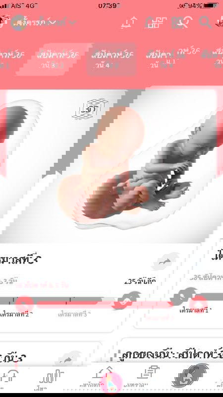 ทีมเดือนพฤศจิกายน วันที่15