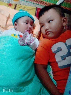 Hỏi đáp ....