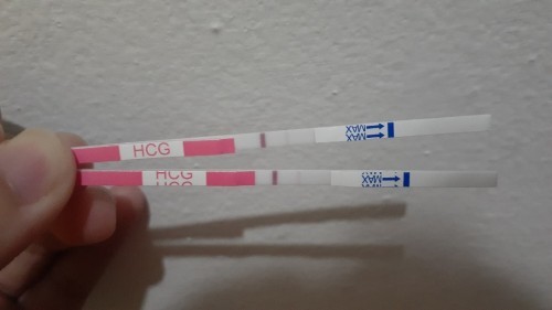 Apakah ini sudah menandakan positif