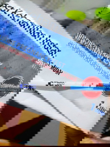 Yes kehamilan yang bergaris tidak terang