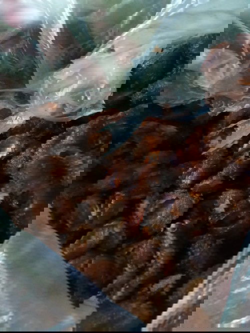 makan asem saat hamil