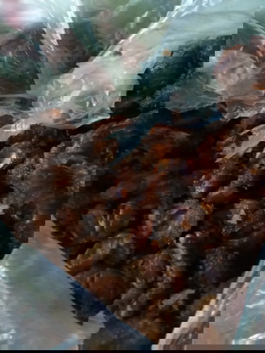 makan asem saat hamil