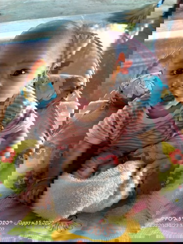 เปลี่ยนนม