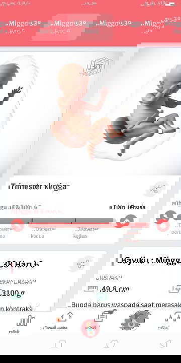 Menunggu gelombang cinta