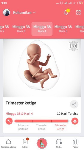 Bingung mau ngapain🤔