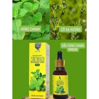 Tinh dầu húng chanh