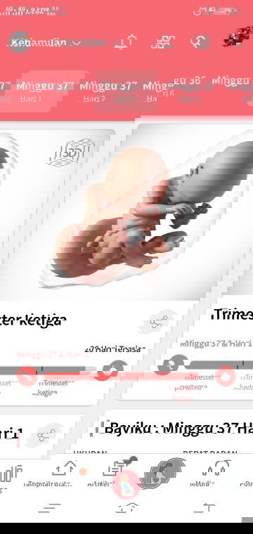 menunggu gelombang cina