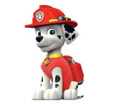 PAW PATROL COSTUME