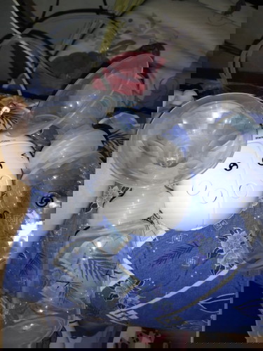 Bagi tips nya dong bun 😍