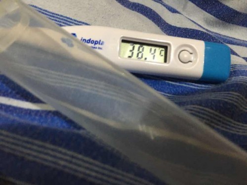 High Fever