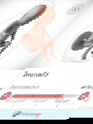 แม่ๆบ้านไหนเข้า30สัปดาห์แล้วเกิดไม่อยากอาหารบ้างคะจะมีผลเสียยังไงกับลูกรึป่าว😂