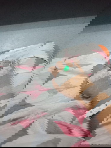 Update ko lang po ako yung na admit oct. 22