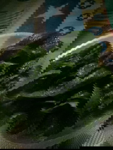 Apa Khasiat Bayam Brazil?