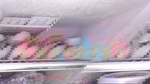 Breast Milk Milk Milk