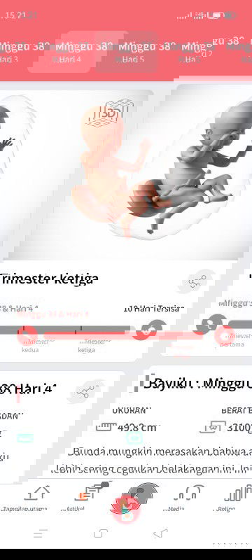 Deket HPL Hanya mules saja