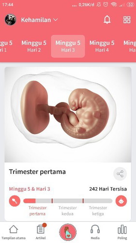 Sebaiknya susu merek dan varian apa ya yang tidak bikin mual di trimester pertama?