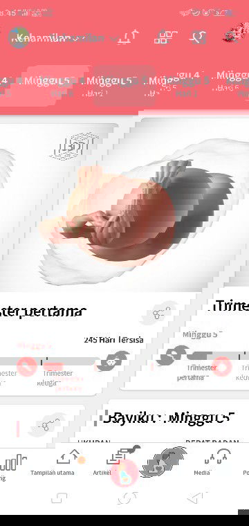 keputihan saat hamil muda