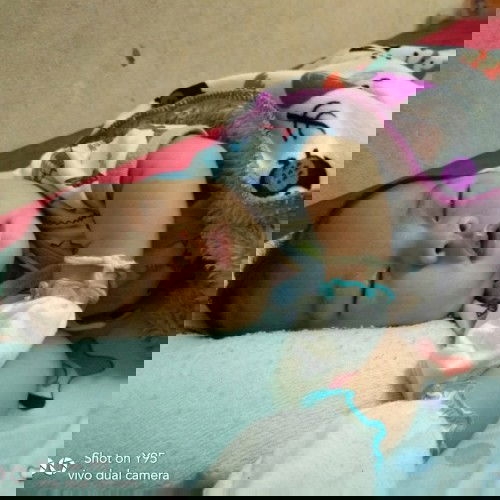 คลอดธรรมชาติ ไหมละลาย