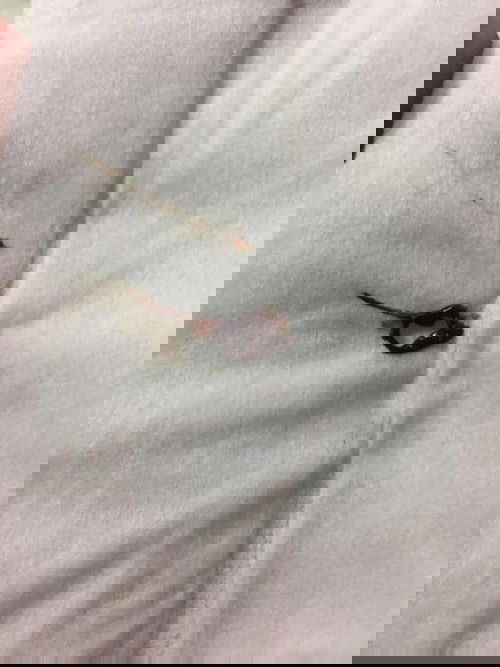 สอบถามหน่อยคะแม่ๆ