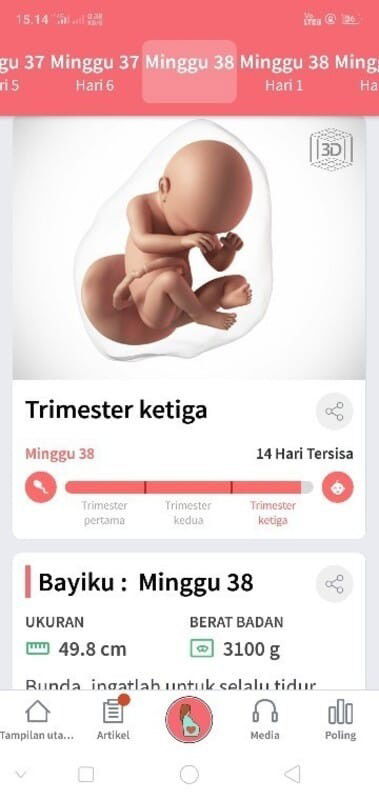 Menunggu gelombang cinta debay