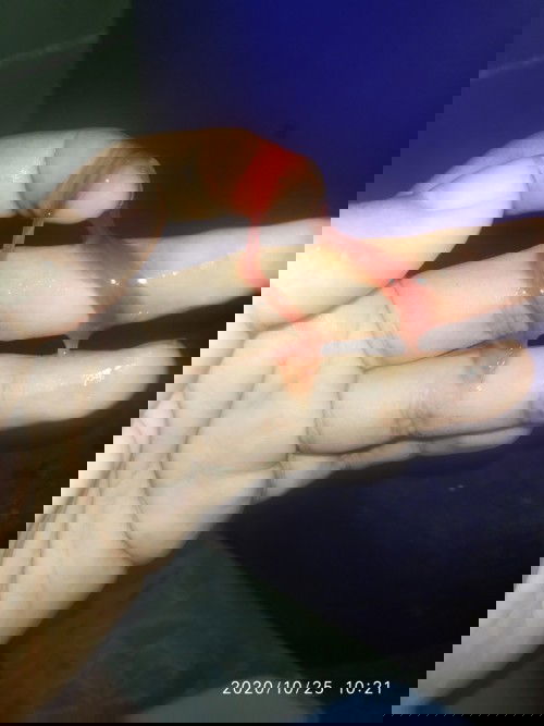 Jijik jangan di buka