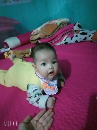 Gạo_3months