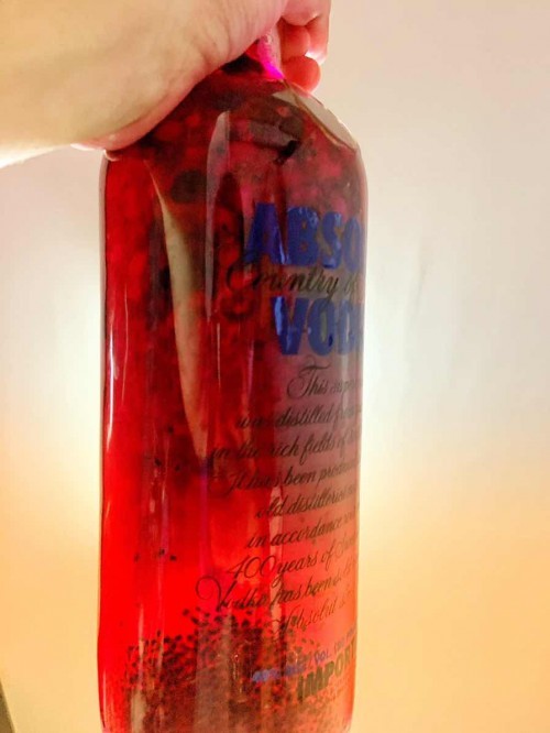 Kombucha F2