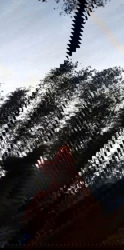 Amankah bumil di UK 38 camping?