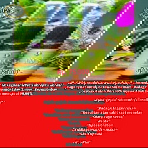 Sambiloto Herbal Penambah Nafsu Makan