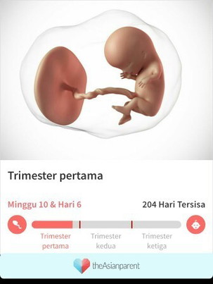 Bunda harus atau tidak minum susu hamil
Bolehkan berhubungan sesk saat hamil dan ape resikonya,,,