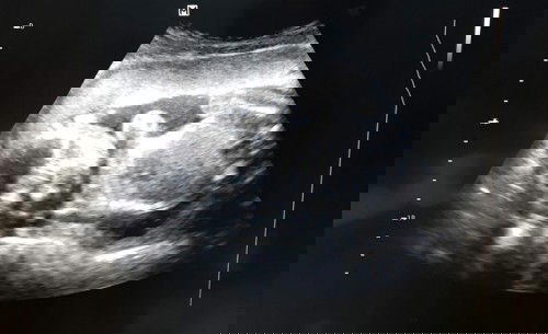 any suggestions names