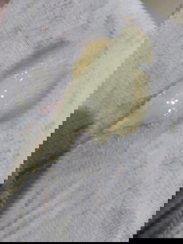 CREAMY DISCHARGE