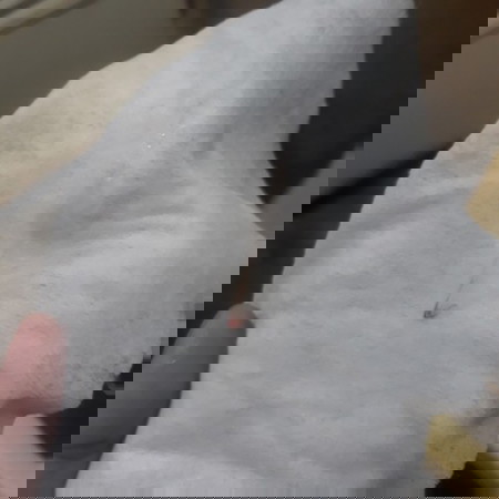 Mucus plug or discharge?