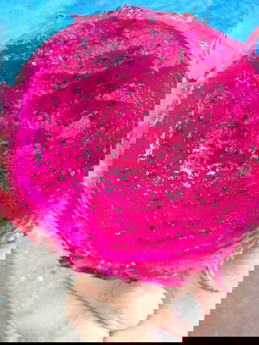 what fruit it is????
Im craving for this