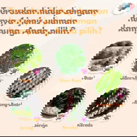 Kalau anda hanya diberi 1 pilihan untuk teruskan hidup...