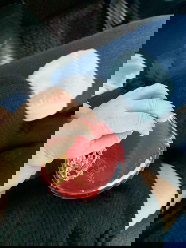 Takut Induce? Read this ❤️