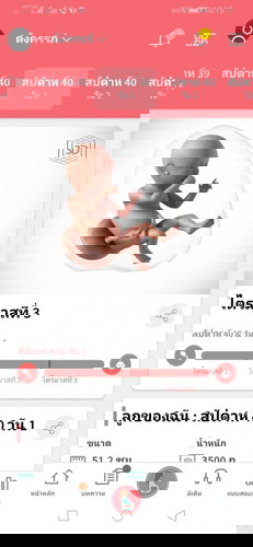 ทีมตุลา