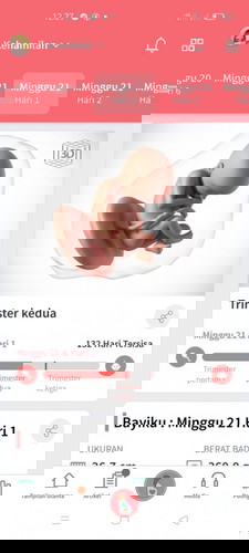 21 minggu masih mual
