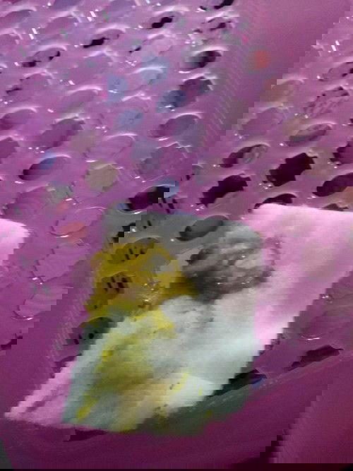 อึลูกเป็นสีเขียวแบบนี้ปกติไหมคะ